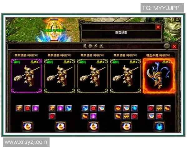 滑板传奇周强专访揭秘成功背后的故事与心路历程